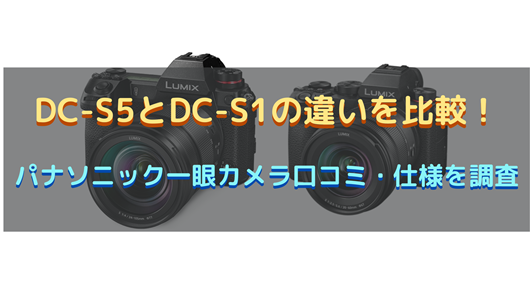 DC-S5とDC-S1の違いを比較！パナソニック一眼カメラ口コミ・仕様を調査 | 商品情報
